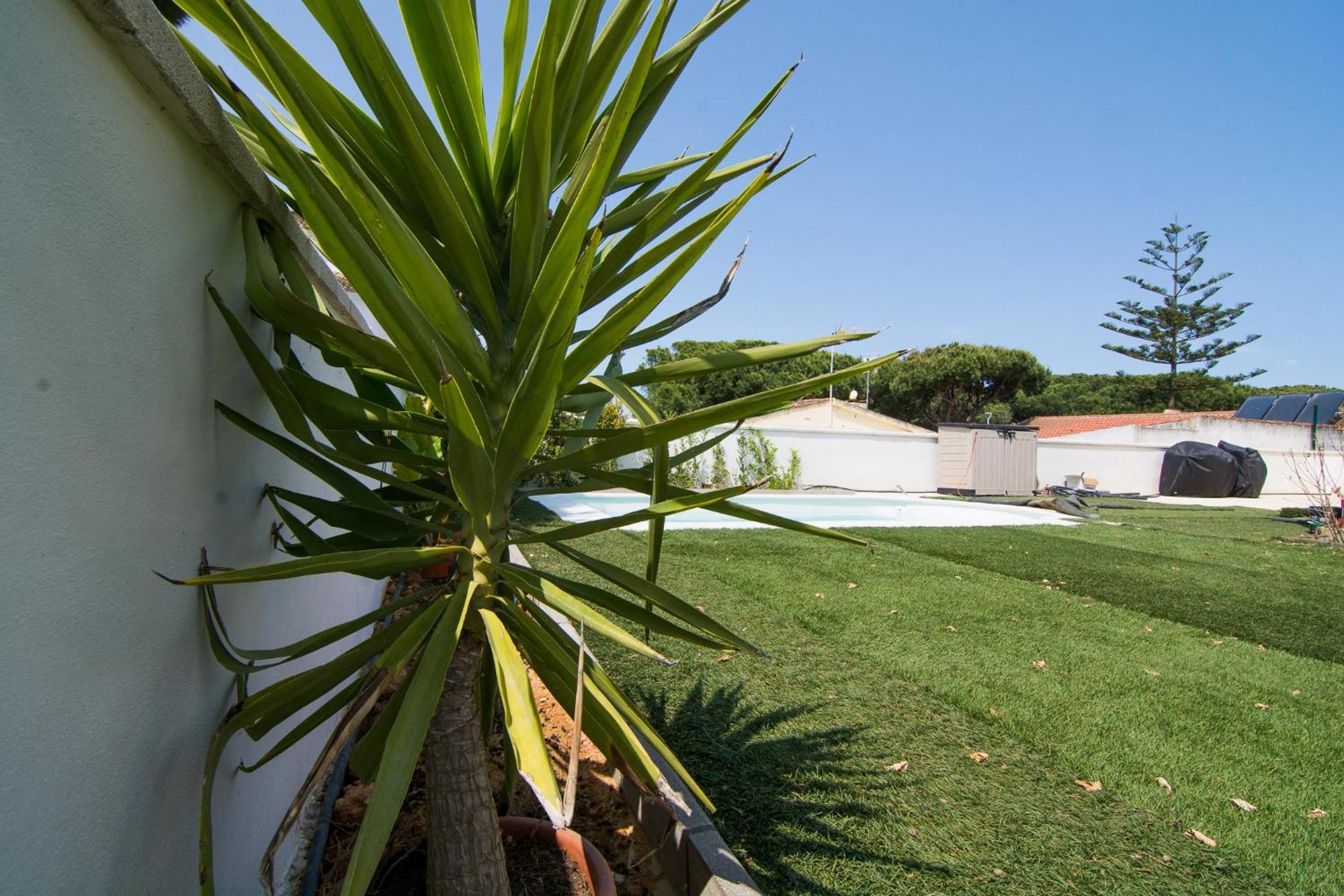 Chalet Individual En El Rompido Urb Urverosa Exterior foto
